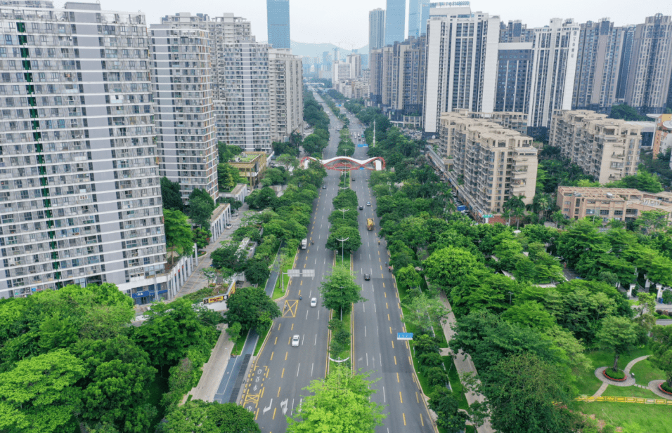 龙华大道上四座高颜值天桥惊艳亮相!位置在._深圳北站_城市_未来