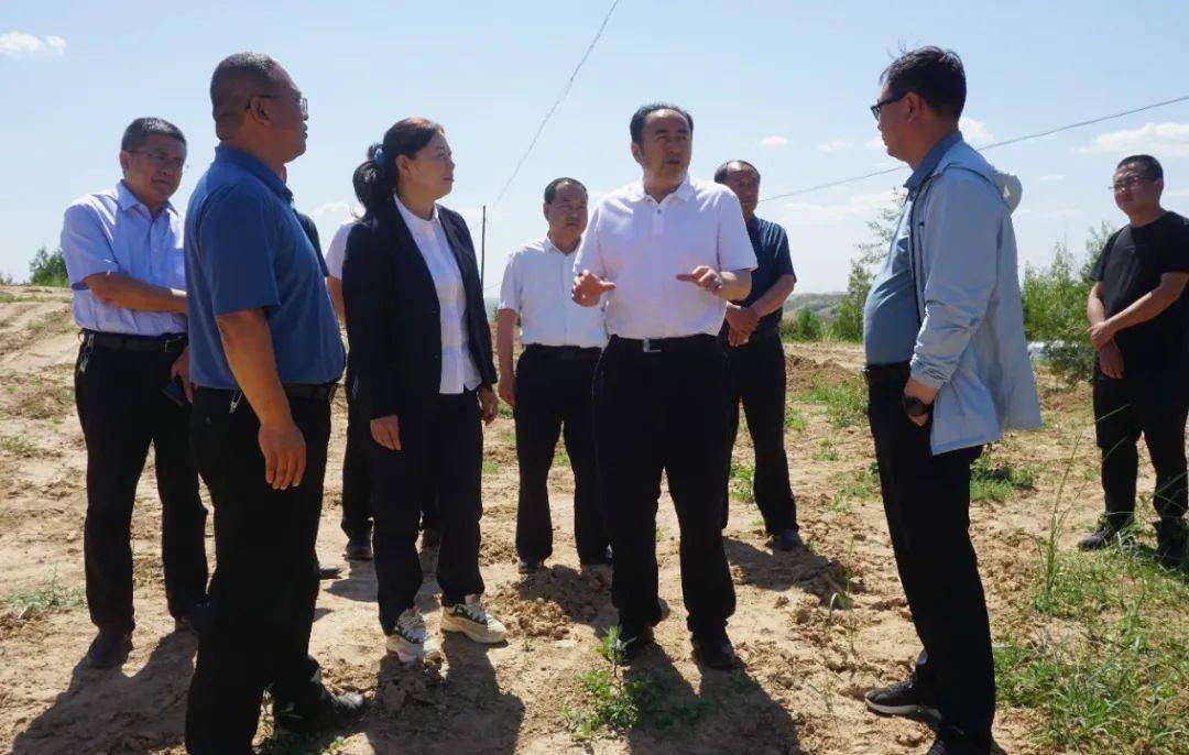 贺文元来横巡林,调研陕17储气库项目_建设_林木_防治