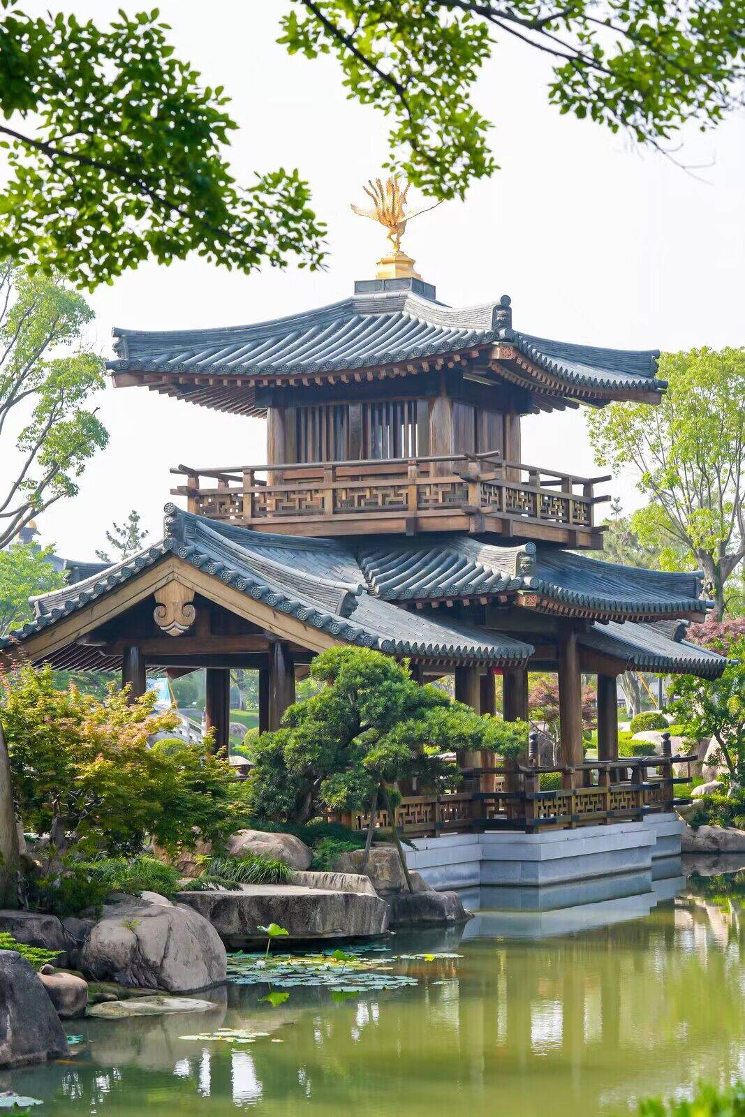 游亭台水榭觅唐风古韵 宝山只园开园_文化_建筑_园林