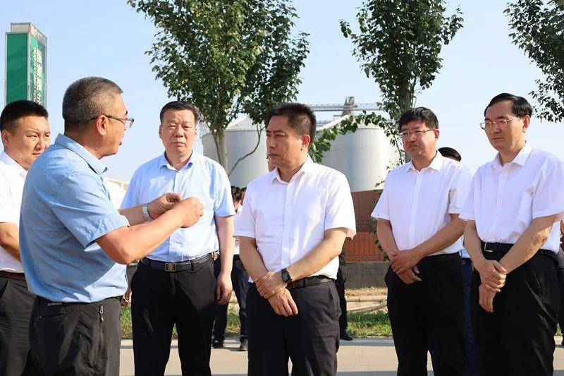 齐河县委书记孙修炜调研"三夏"生产工作_保障_服务_小麦