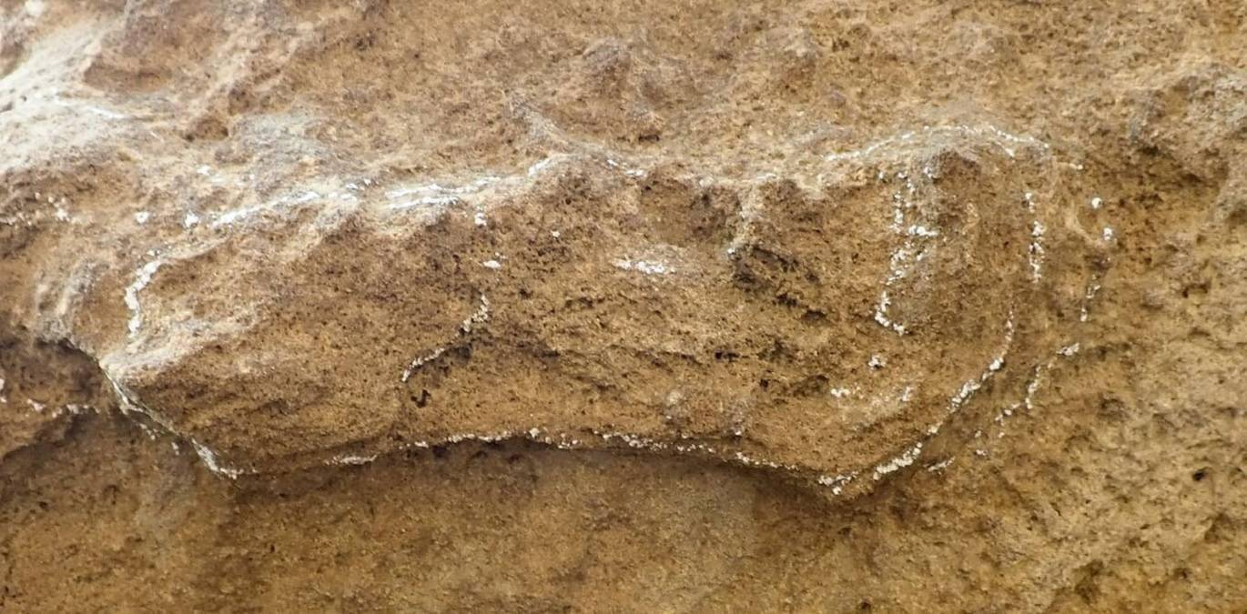 距今 15.3 万年，考古学家发现最古老的智人足迹