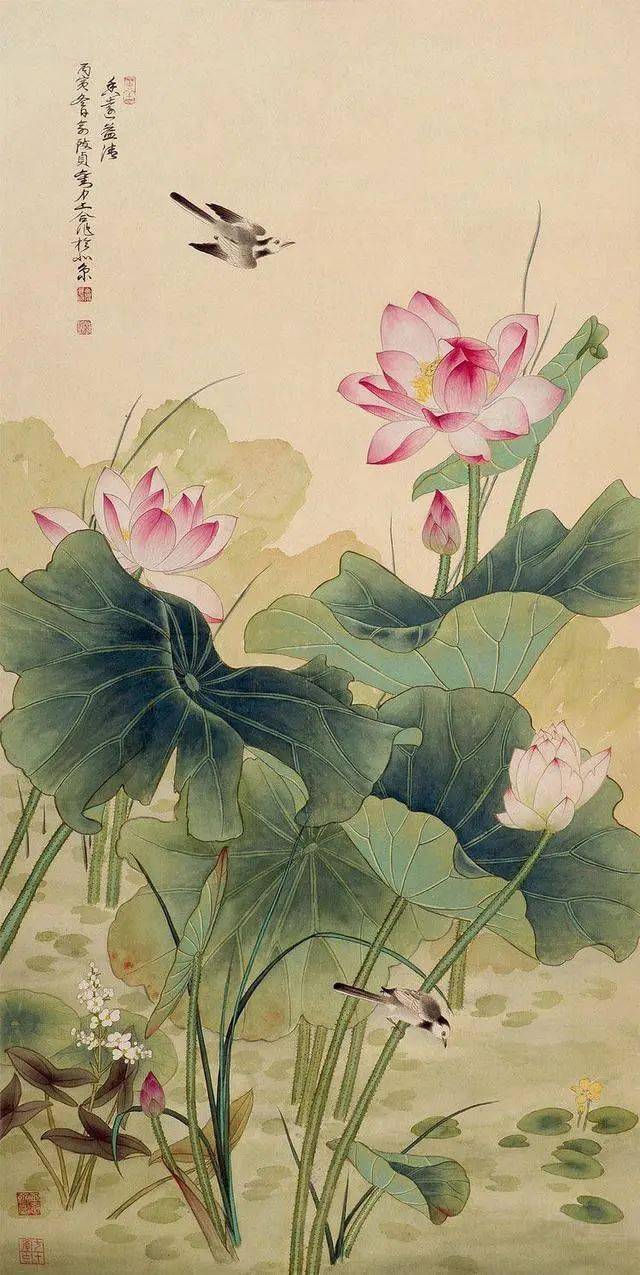 她的工笔荷花,清秀怡人_国画_花鸟画家_北京