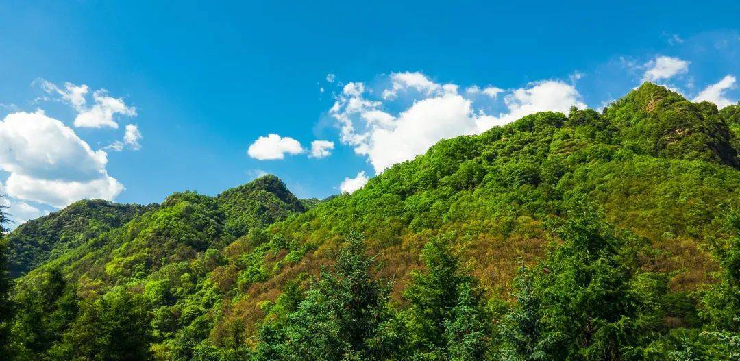 寧夏固原市涇源縣六盤山國家森林公園,野荷谷景區享有的【避暑勝地】