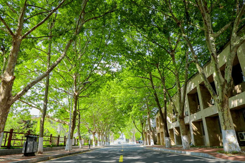 燕山大学世纪楼图片