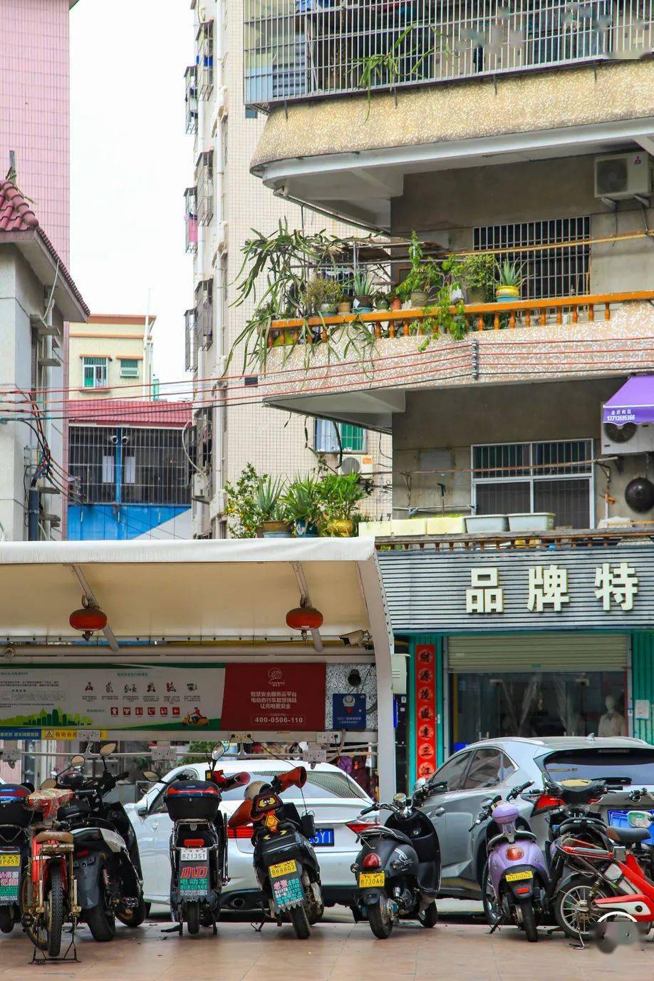 深圳又一个"空姐村",要火?_黄田村_美食_宝安机场