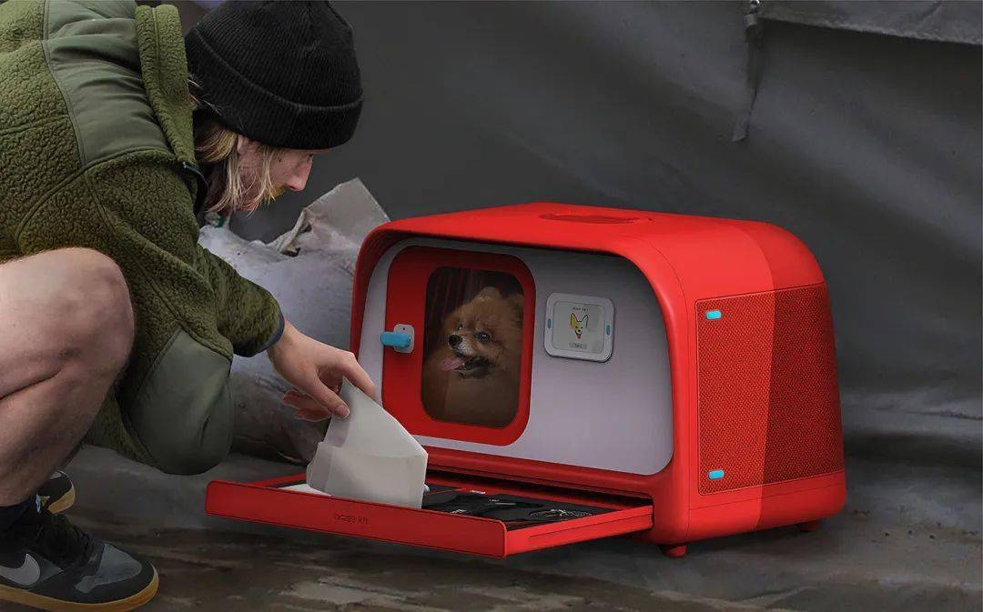 伴生动物的数量在增加,它们已经成为我们社会的重要成员.