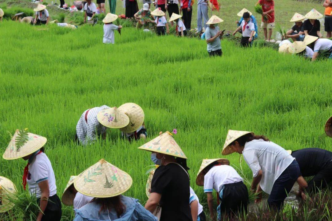 亲子劳动教育为主题,集学习,绘画,劳动,参观为一体,以耕读文化为主线