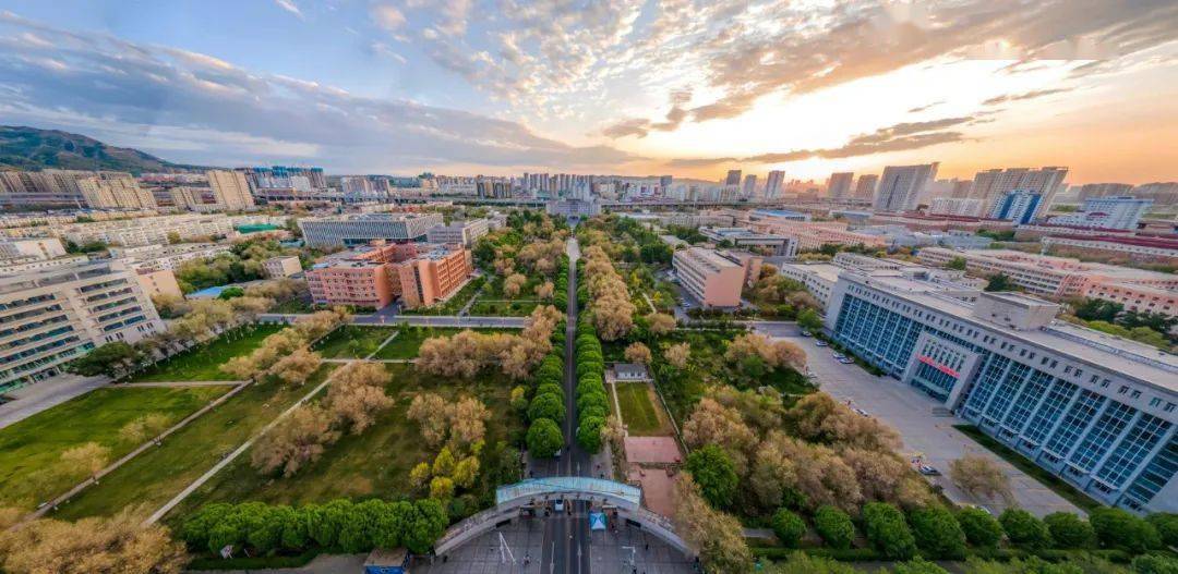 新疆大学全景图图片