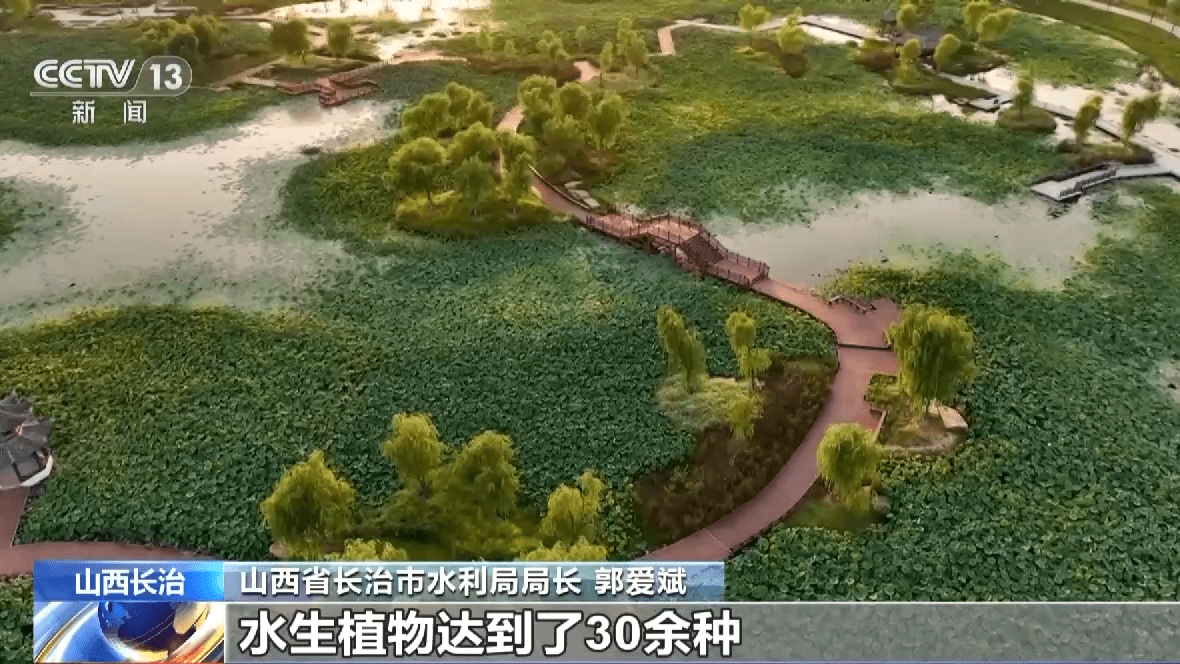 长治国家城市湿地公园交出生态修复答卷_漳泽_水质_植物