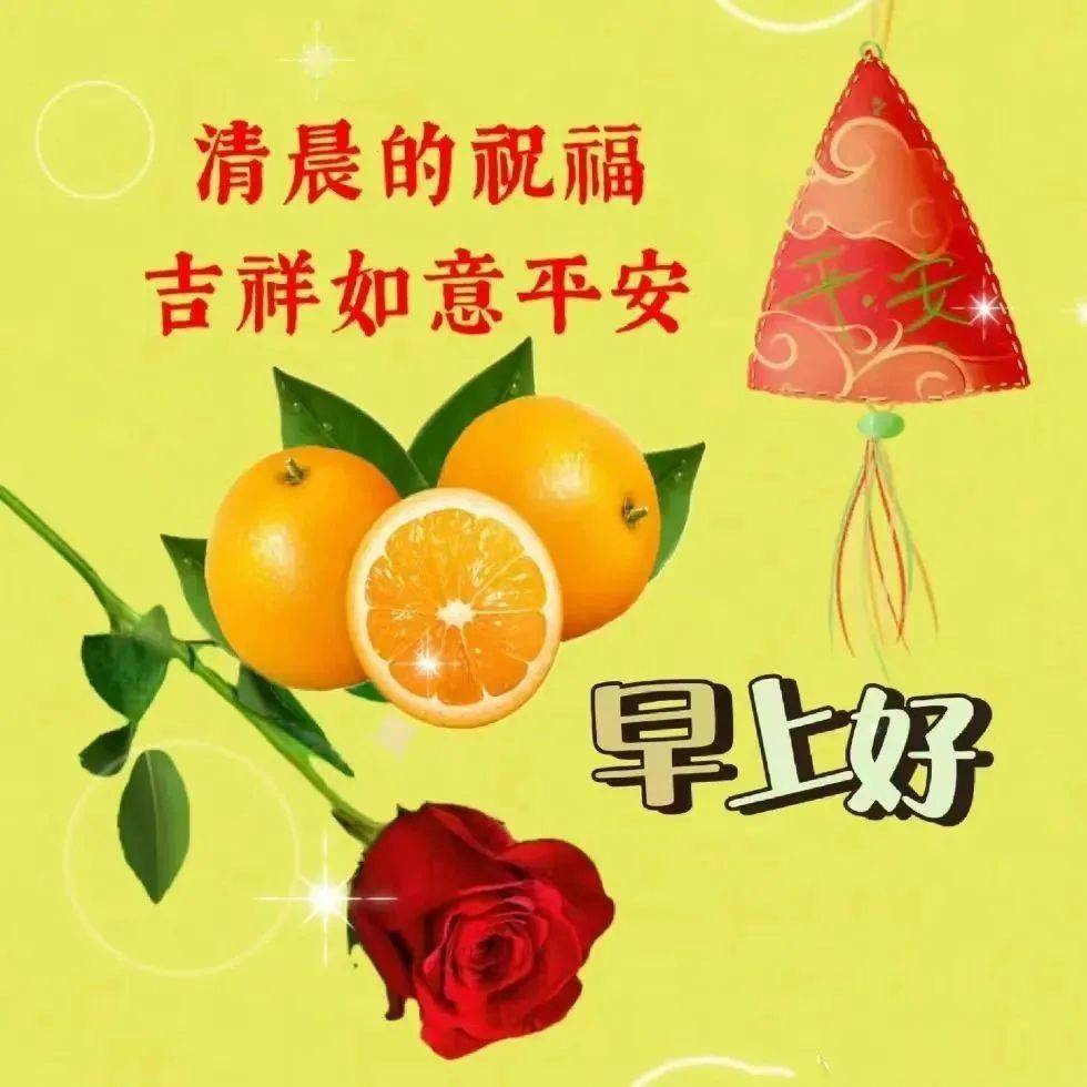 今天最新早上好问候语,天天牵挂,真心问候!_消息_心情_阳光