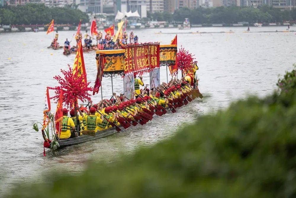 广州国际龙舟邀请赛翻起珠江水!广东人扒龙船有多拼?_活动_漂移_岭南