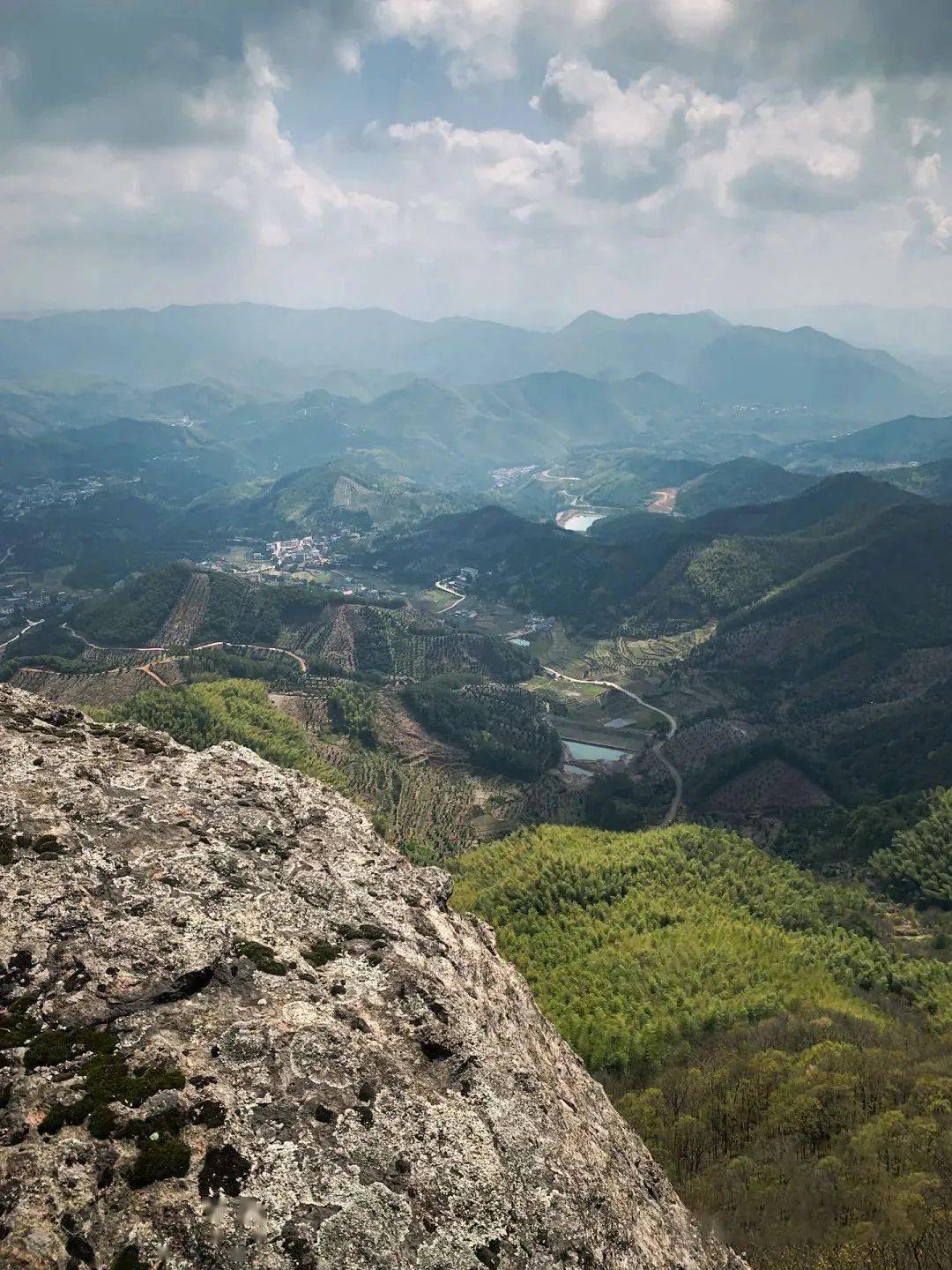 千年香榧林景区自驾游图片