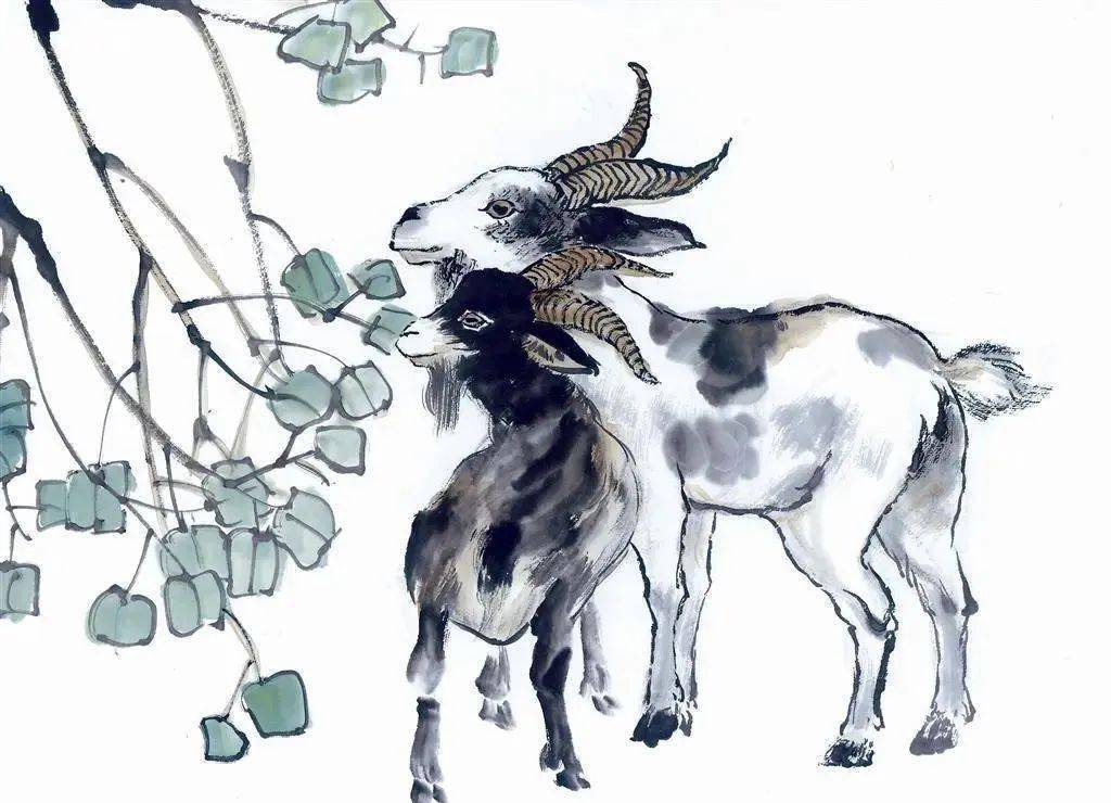 经典每日读|诗经·召南·羔羊(18)_素丝_内容_公家