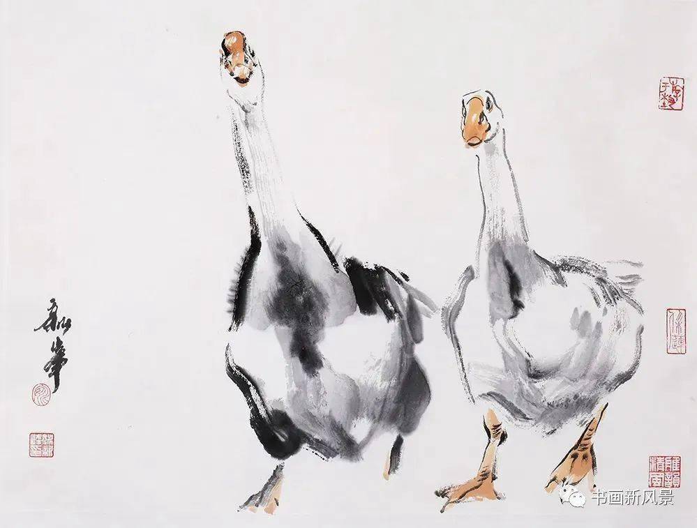 水墨小品:寥寥几笔写大鹅_侵权_图文_书画