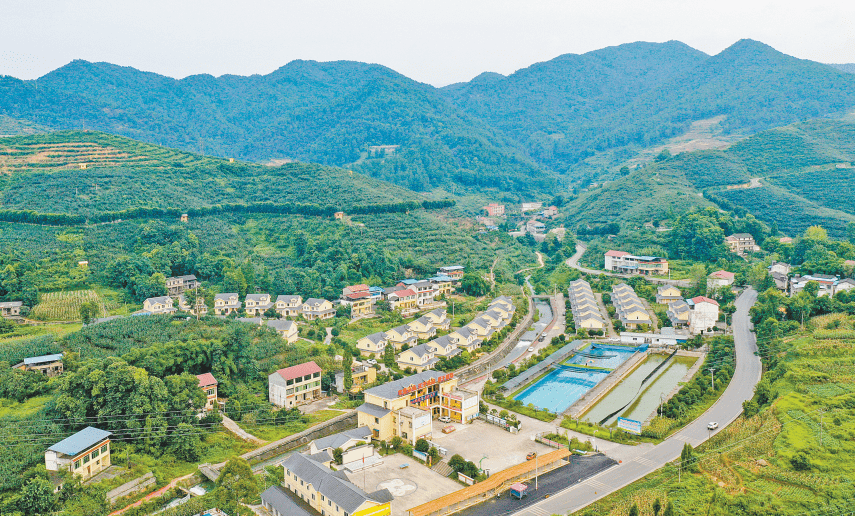 其中,华蓥市禄市镇月亮坡村上榜现代农业亿元村.