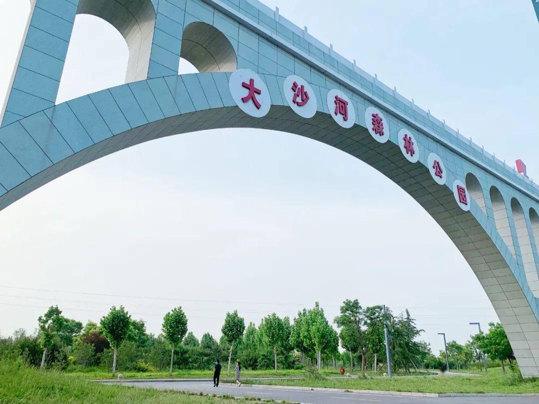 太行泉城 美麗邢臺|大沙河森林公園:百鳥來棲 新景入畫_文化_樹香