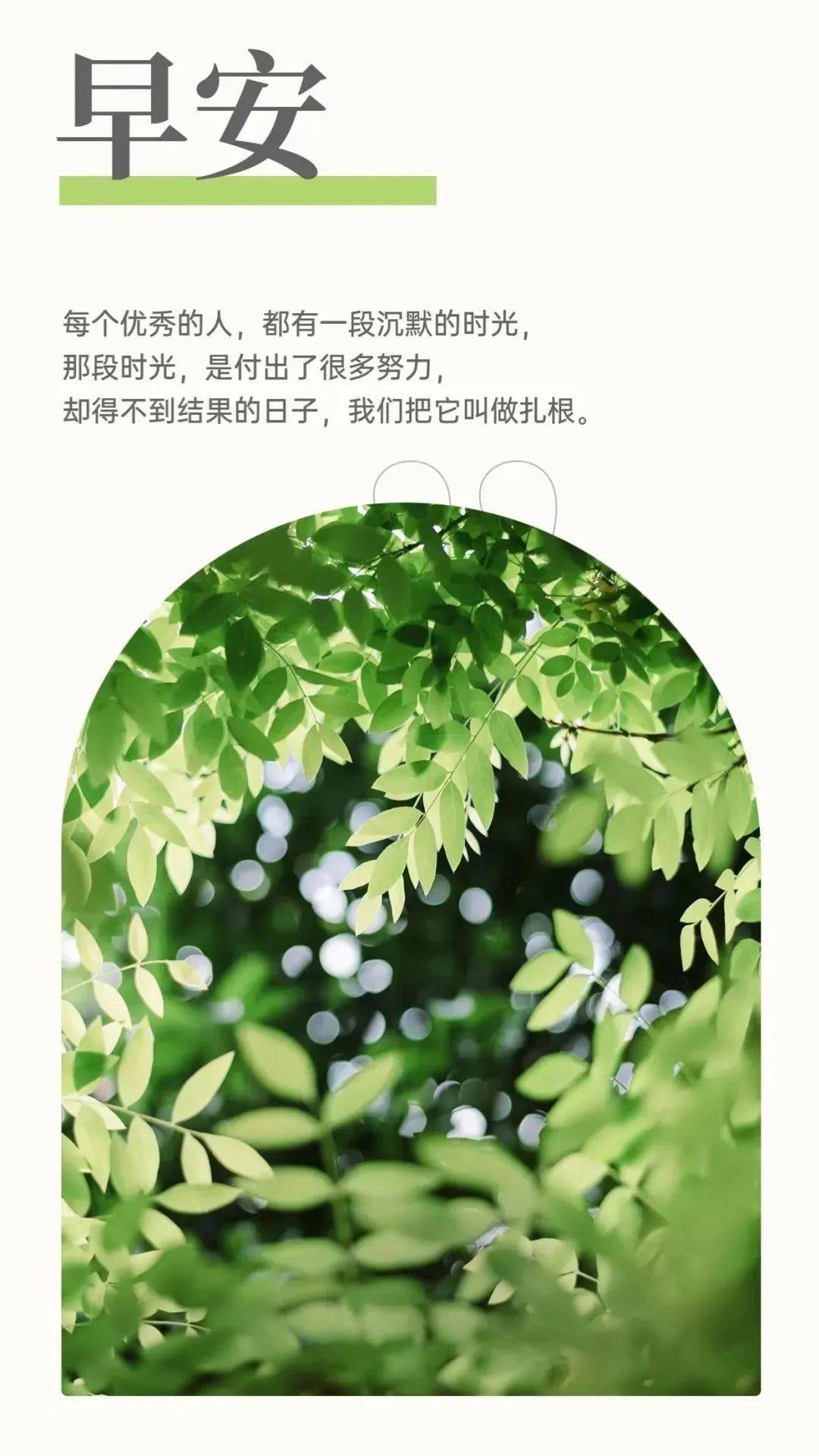 我不怕披星戴月,我無懼風雨兼程,我深知春華秋實,我堅信苦盡甘來!