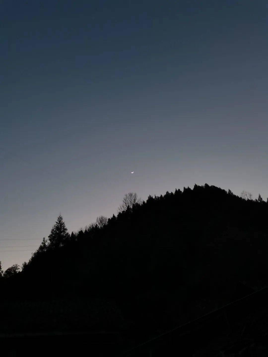 哈基米 | 更适合中国宝宝的期末考_考试_重点_作战计划