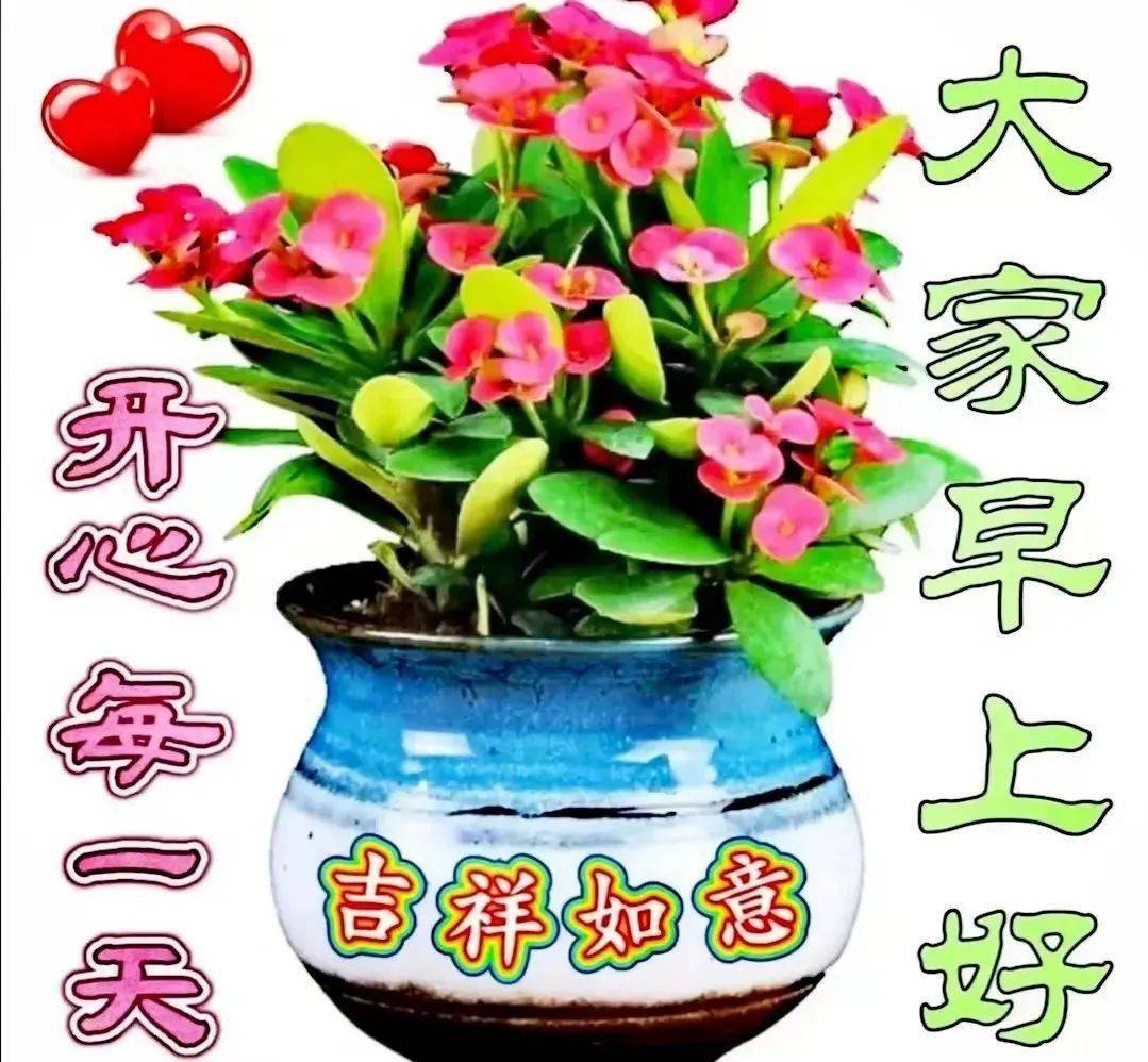 今日最新早上好图片大全,大家早上好,开心每一天_心情_朋友_工作