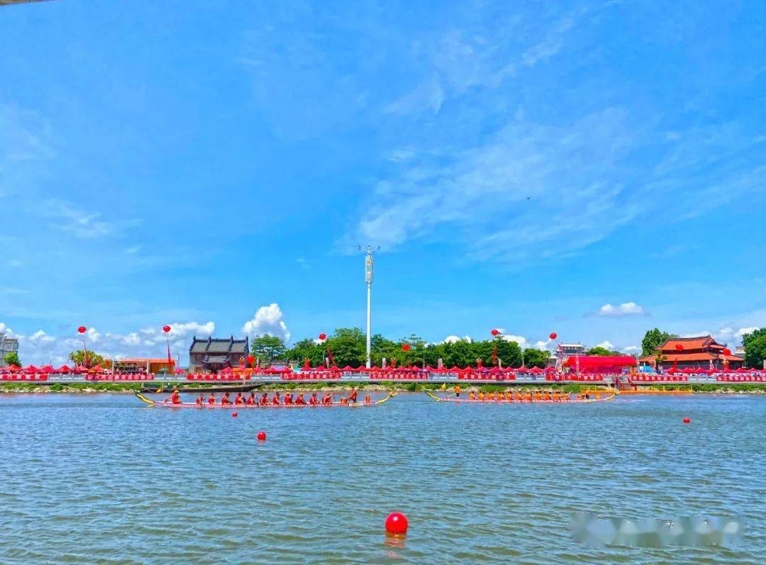 金浦龙舟赛已经出结果了,现场……_比赛_潮阳_名次表