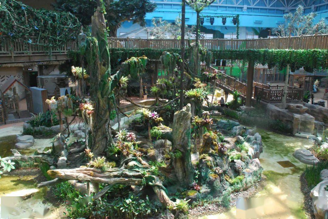 雨林秘境·梦幻乐园 | 西旅·乐可龙神奇动物城盛装开业_兰州_游客