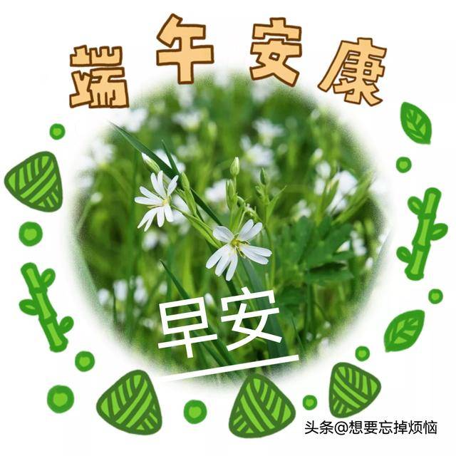 端午节带字图片问候语图片