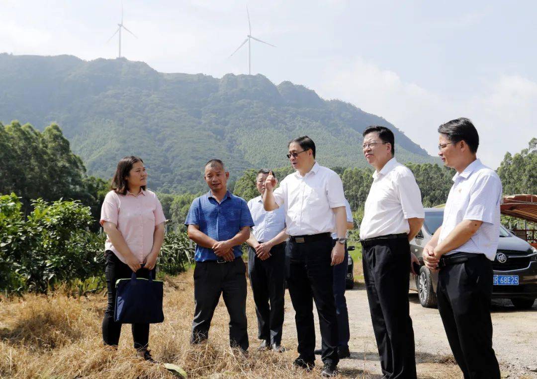 彭东光到港北区中里乡调研乡村振兴工作_古村_群众_发展