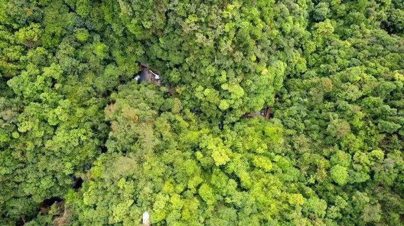 【肇庆黄金沟】6月24日 畅玩峡谷溯溪 走黄金大道高空索桥 打卡砚阳湖