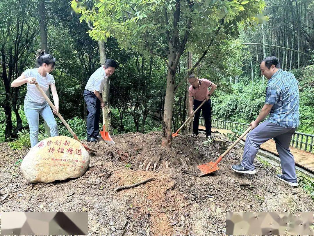 滴水洞又迎来了一抹“绿”_手机搜狐网