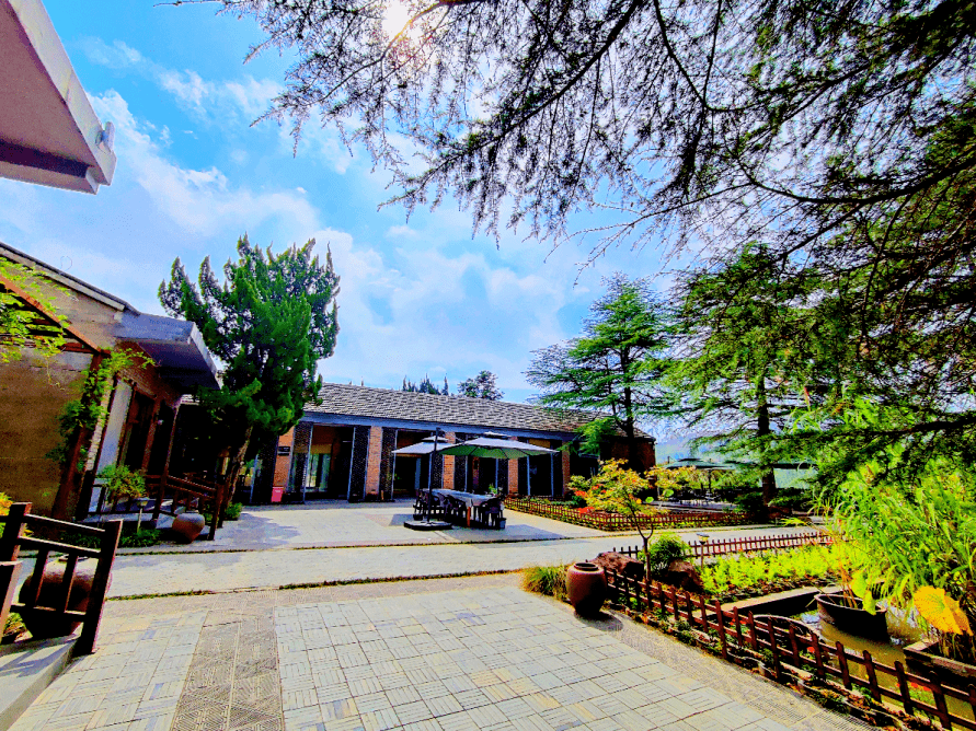 四周树木葱郁肥西紫蓬山旅游开发区凤凰村内西庐印象位于抬头望星空