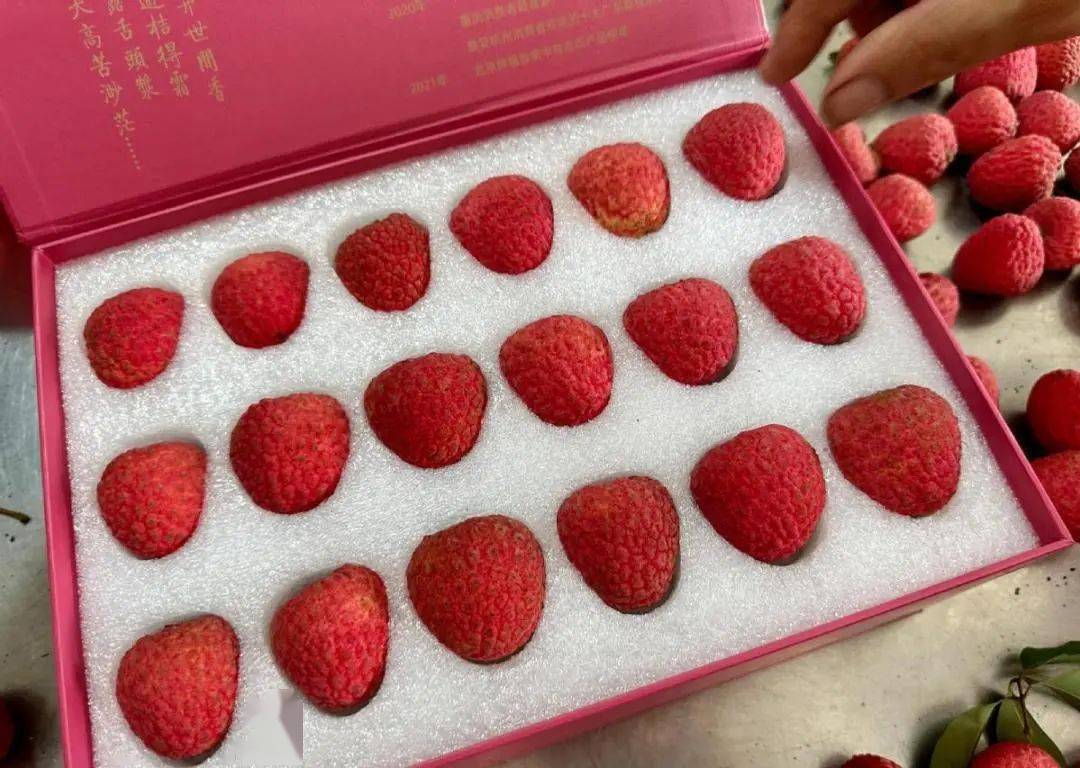 厚街"法拉荔"上市,760元/斤_黄志强_荔枝_冰荔