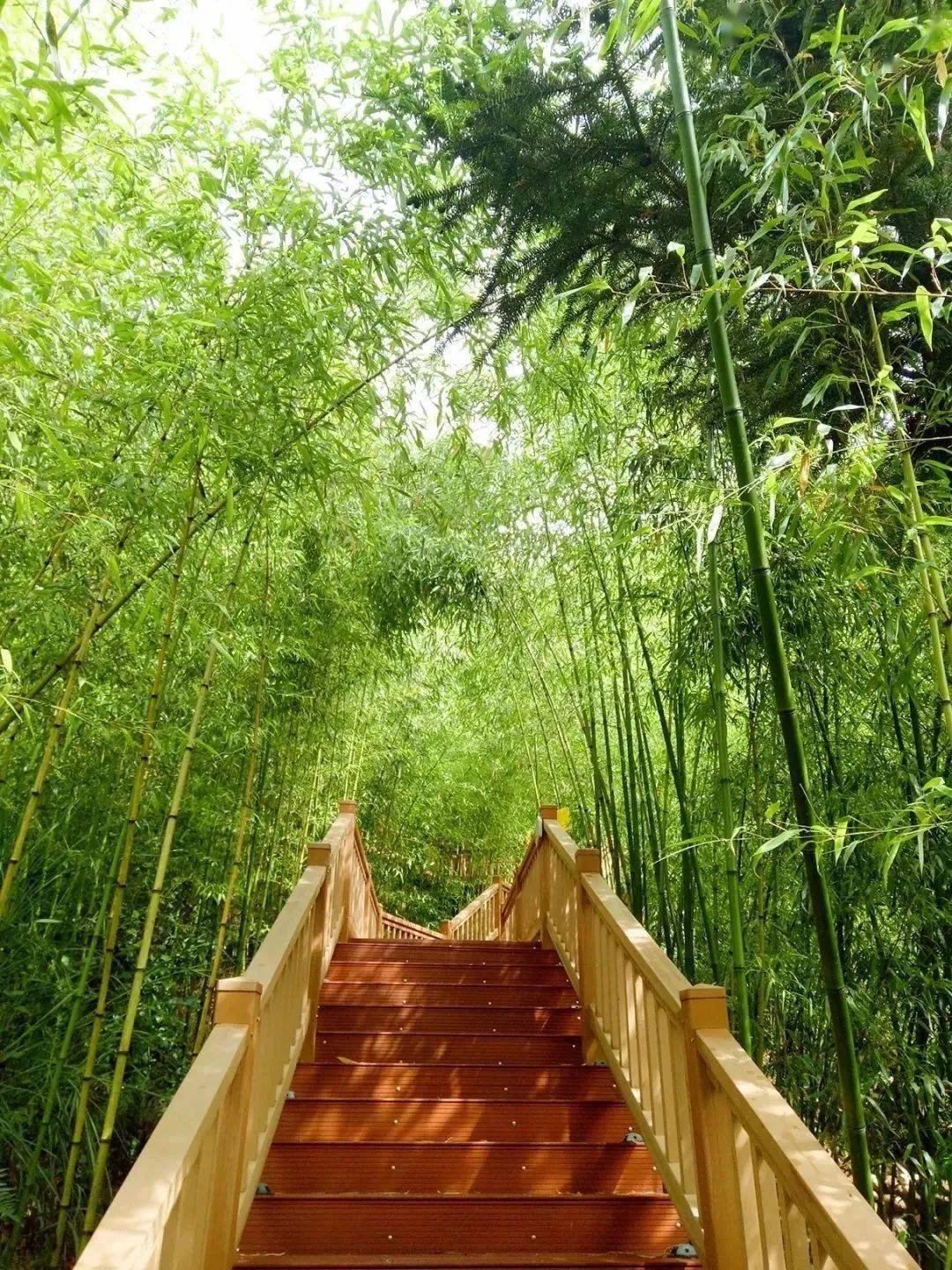 【有一种叫云南的生活】石屏:天然氧吧 待你"涵养"_养生_龙韵_旅游