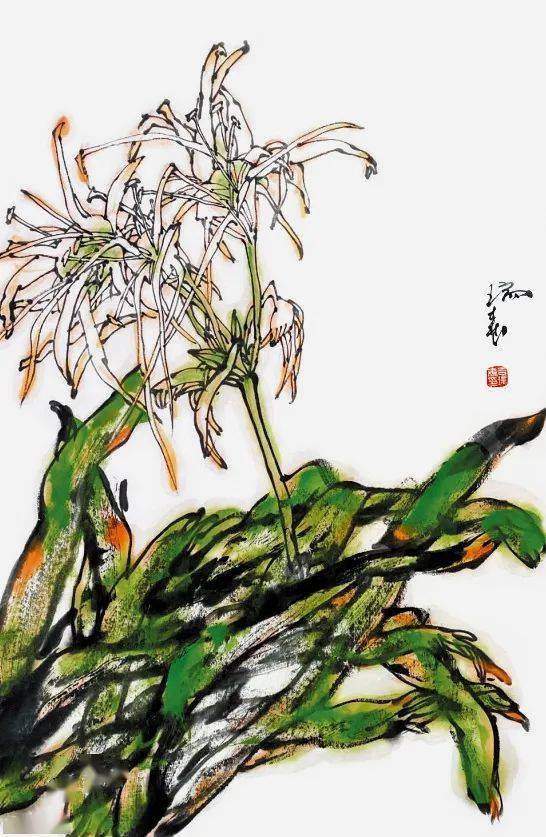 吉瑞森热带花卉写生