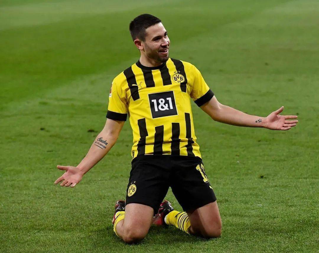 懂?_拉斐尔·格雷罗_拜仁_多特蒙德