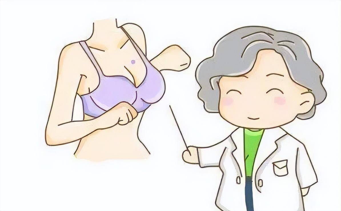 女性乳房图片阴历图片