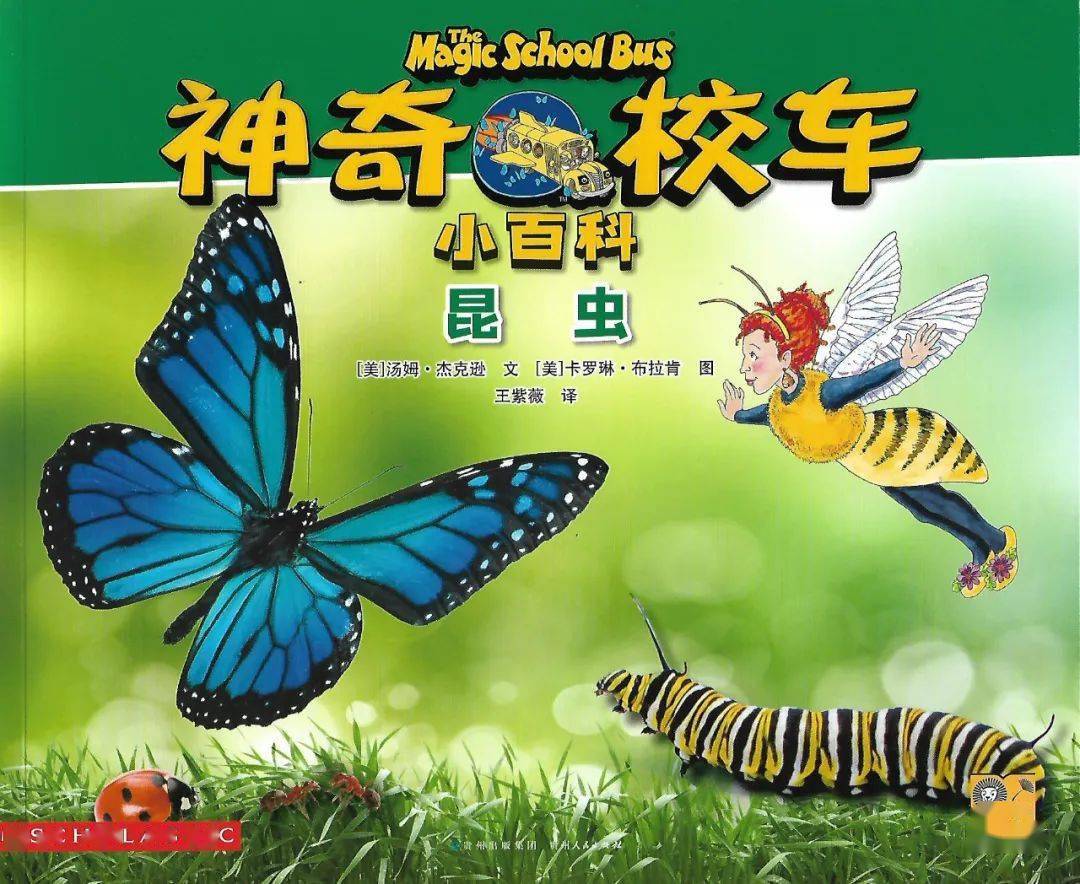 【神奇校车小百科】19昆虫(上)_故事_探险_手工