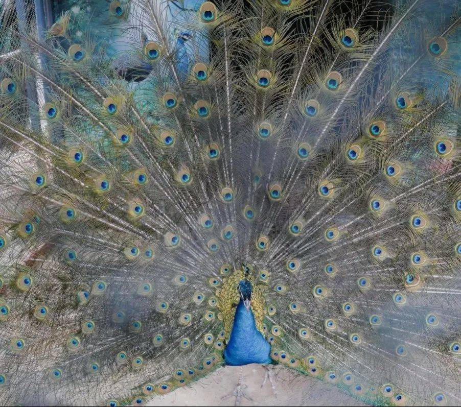 童游记丨八里河自然探索之旅