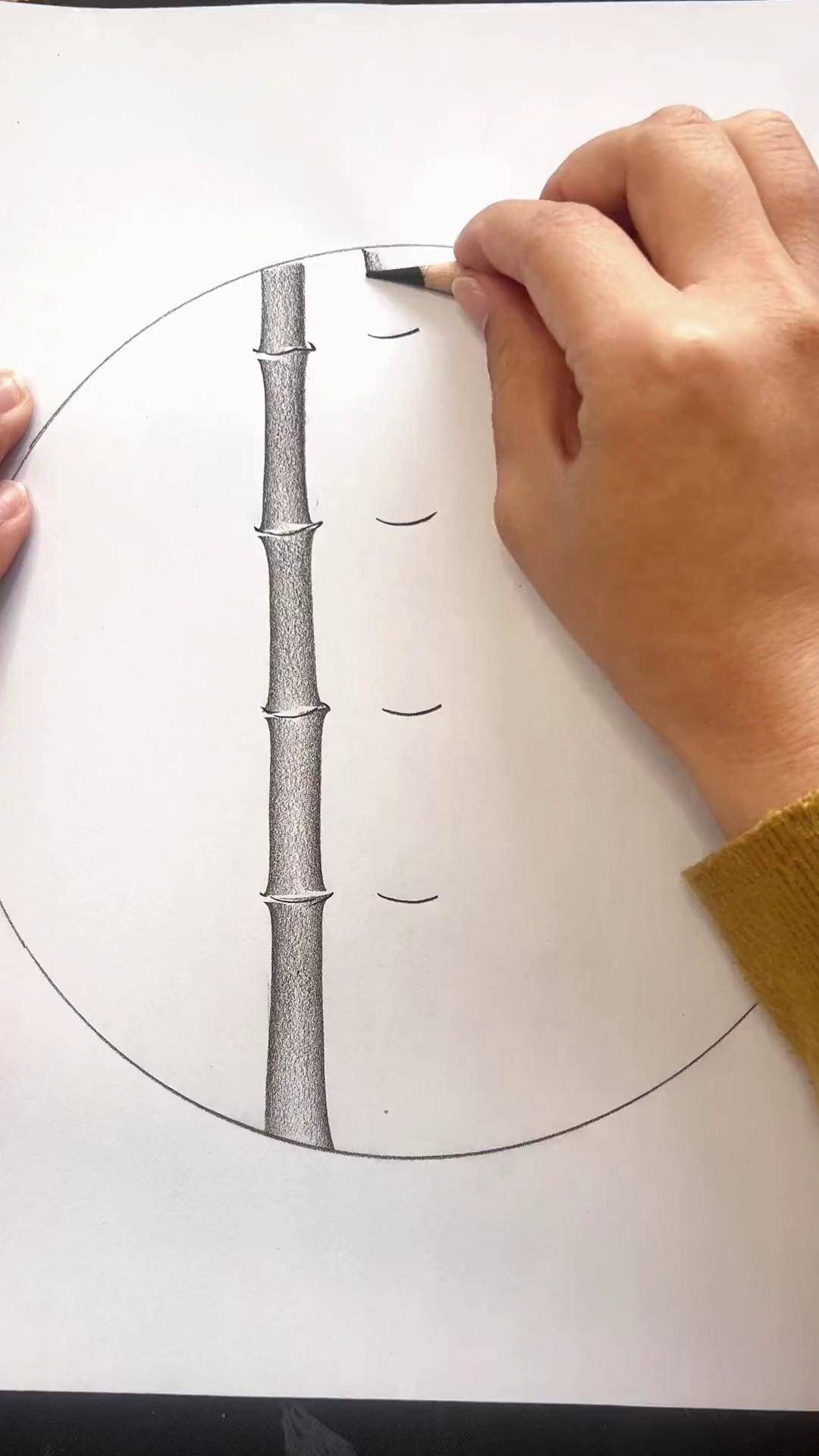 简单画竹子二零基础学画画炭笔画竹子