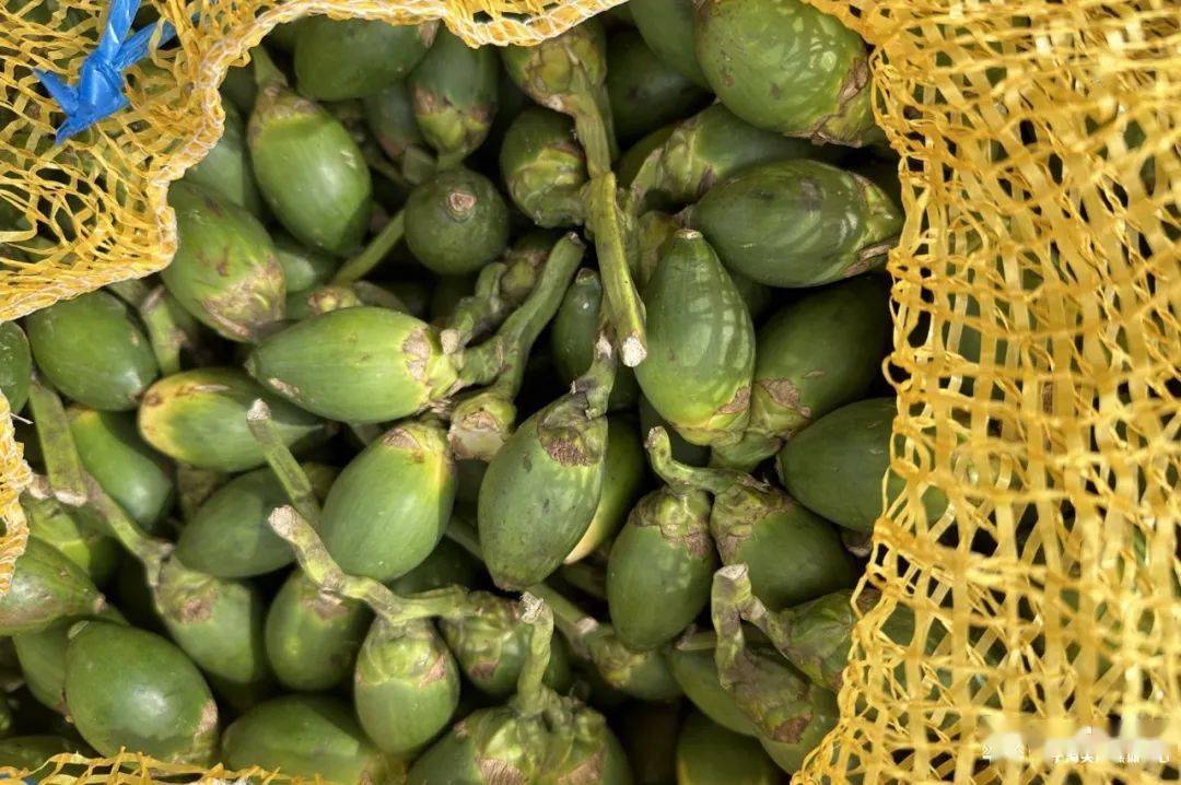 查获走私进口槟榔鲜果4.52吨_海关_缉私_运输费