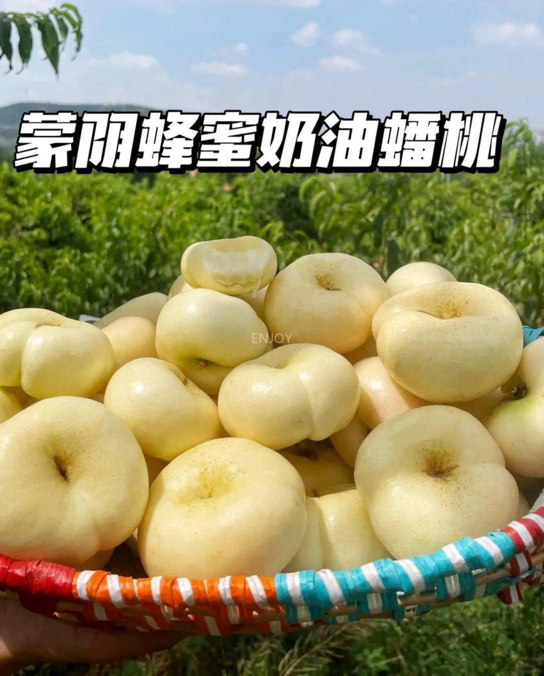 【蒙阴蜂蜜奶油蟠桃】仅39.