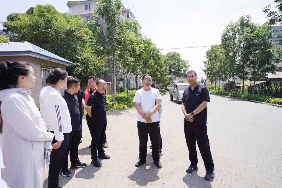 县委书记史秀明深入朝阳镇高集岗村,东凤和西凤街道调研创城工作_重点