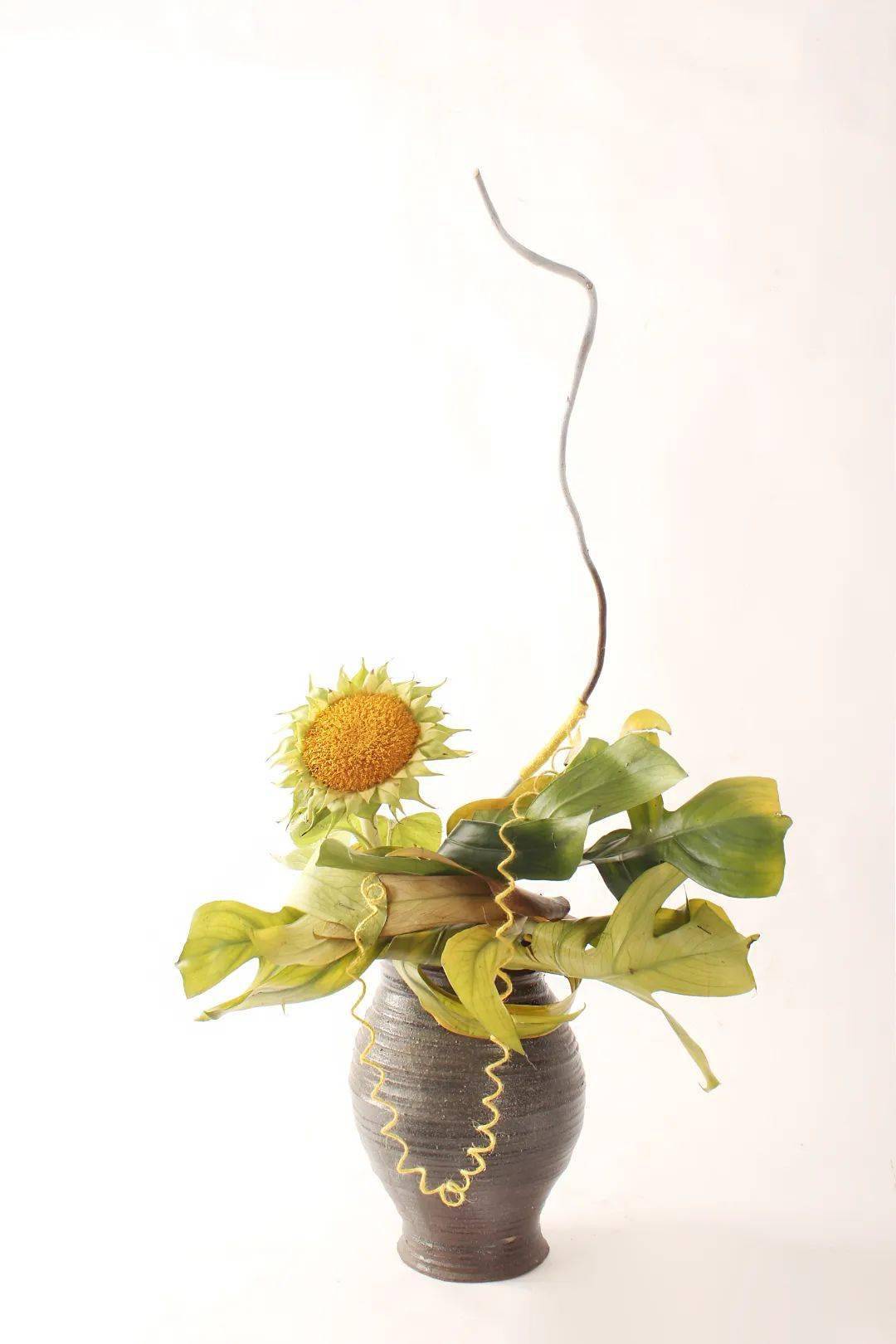 30件缸与罐插花,让你惊叹草月流的创意与技法_郑巧雪_作品_花艺