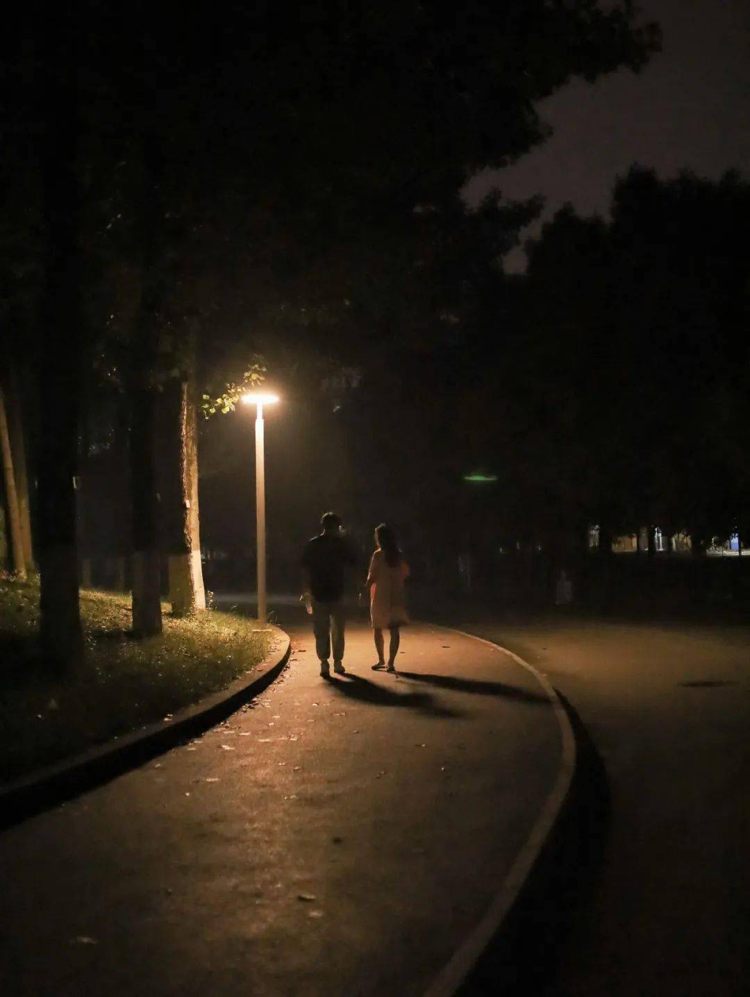 夜景无需背负影子的重量看光的倾泻和铺展走走停停不言不语是走入交大