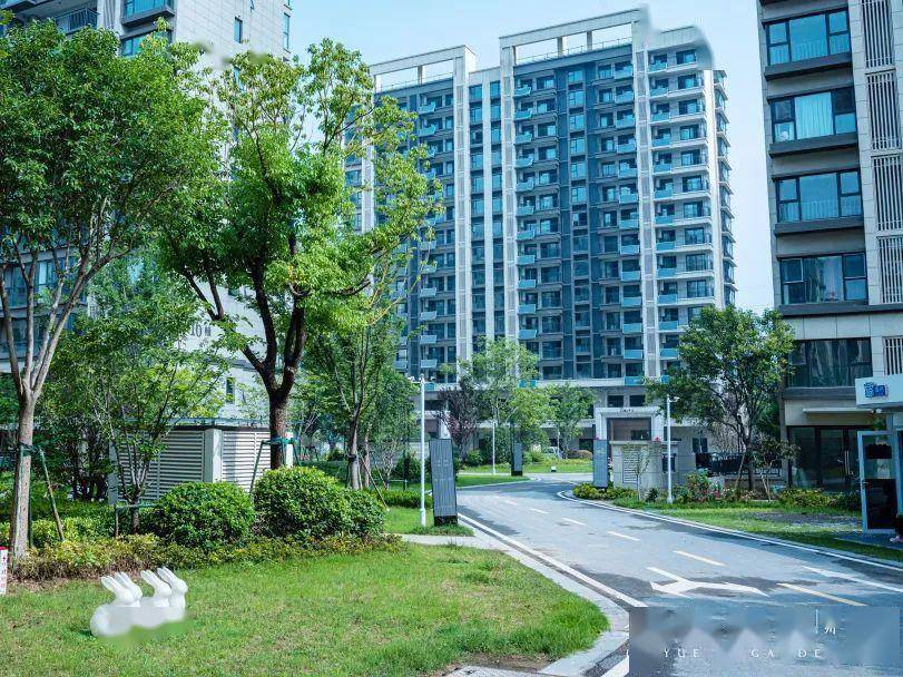 9万套_项目_区域_中国奥园