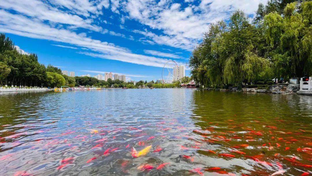 西宁终于要热起来了～_气温_东北风_mm