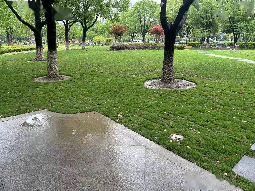 【幸福新桥】新桥公园焕然一新啦!_集镇区_游园_便民