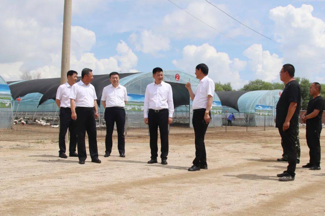 董事长张冠武深入桦南林业局有限公司和鹤立林业局有限公司,就产业