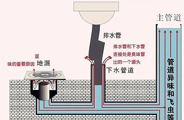 地漏构造图解图片