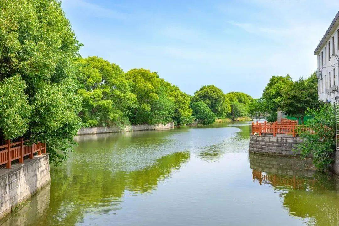 美翻了我的村 | 莫城街道言里村:湖畔清风 美居新言_文明_千村_景美