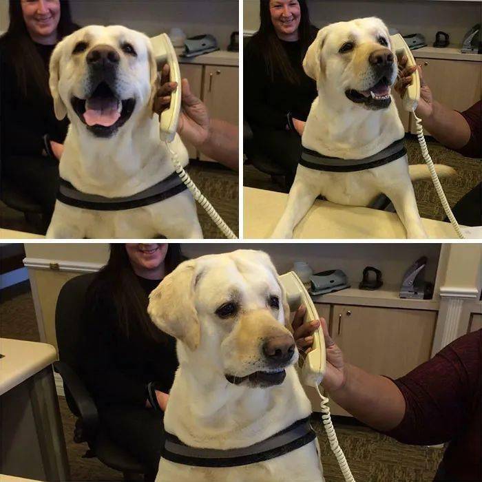 难以想象的长脖子▼穿越到猫粮里▼你有没有拍到过什么搞笑的图片?